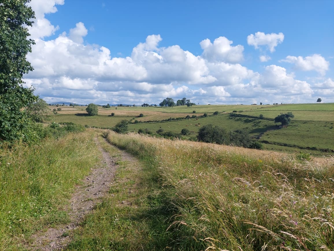 CHEMIN CAMPAGNE PLATEAU TRIZAC CANTAL