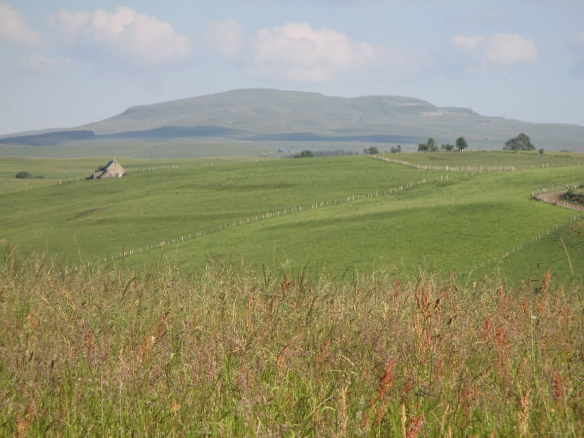 Paysages Plateau De Trizac