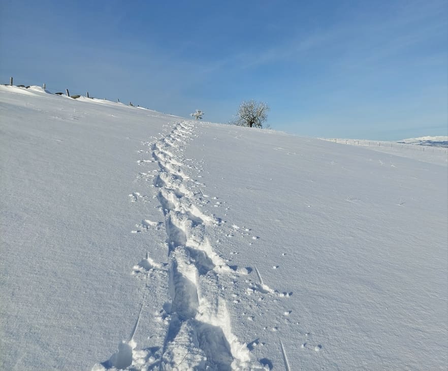 À l’approche du Suc de rond